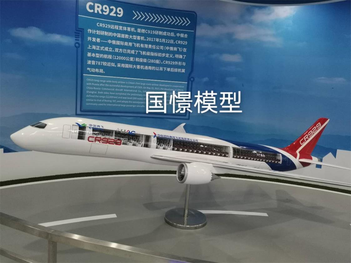 寿阳县飞机模型